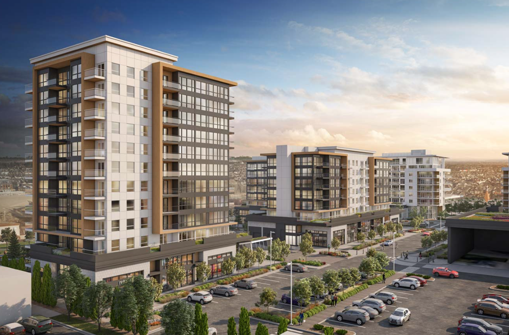 Oak & Olive - View 2