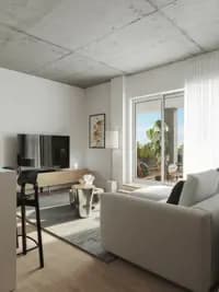 Le 367 des Pins Condos - View 4