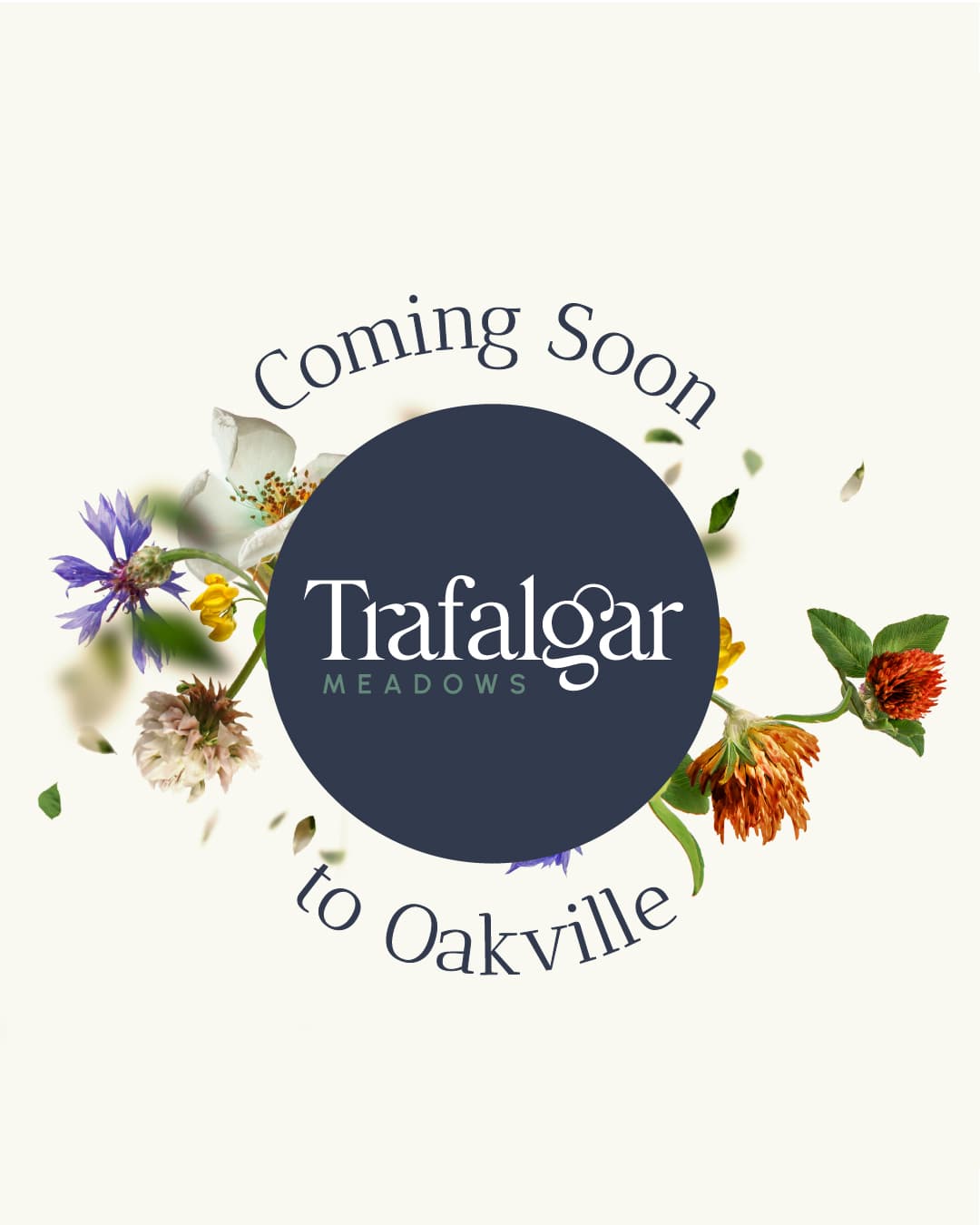 Trafalgar Highlands - View 5