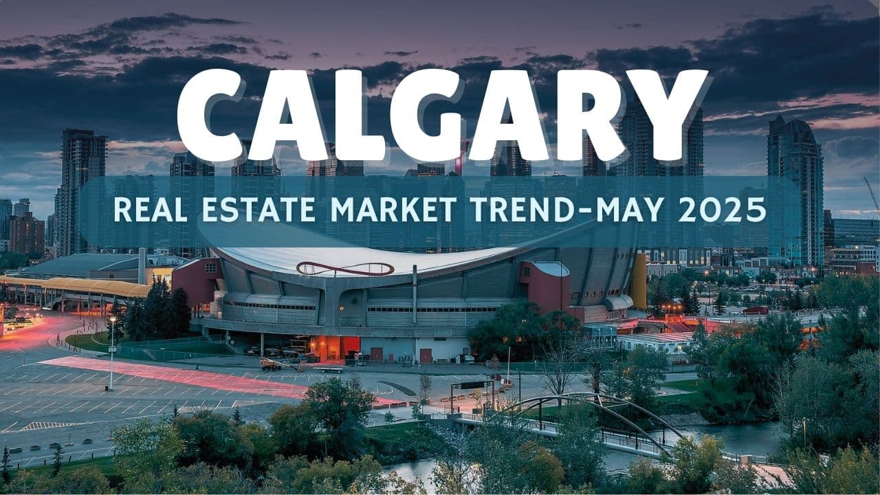 calgary may