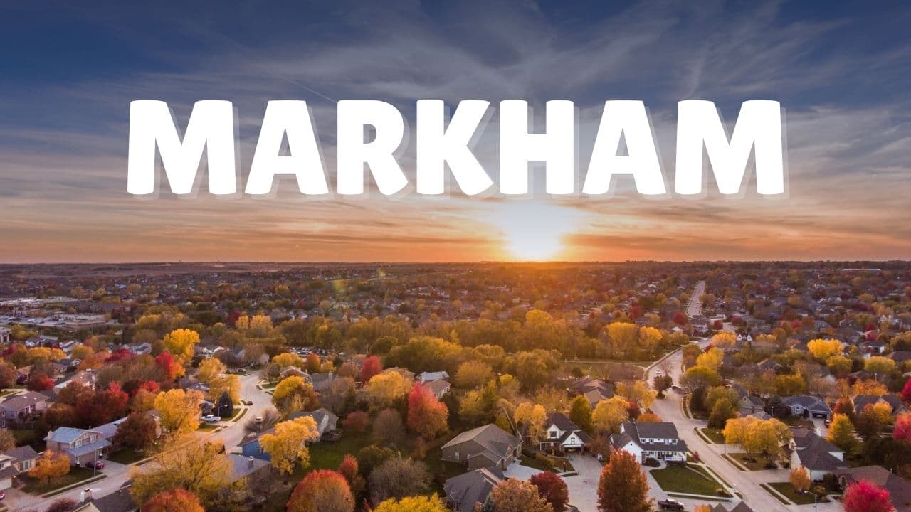 All About Markham