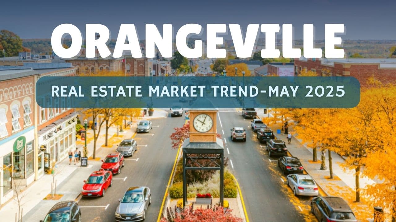 orangeville may