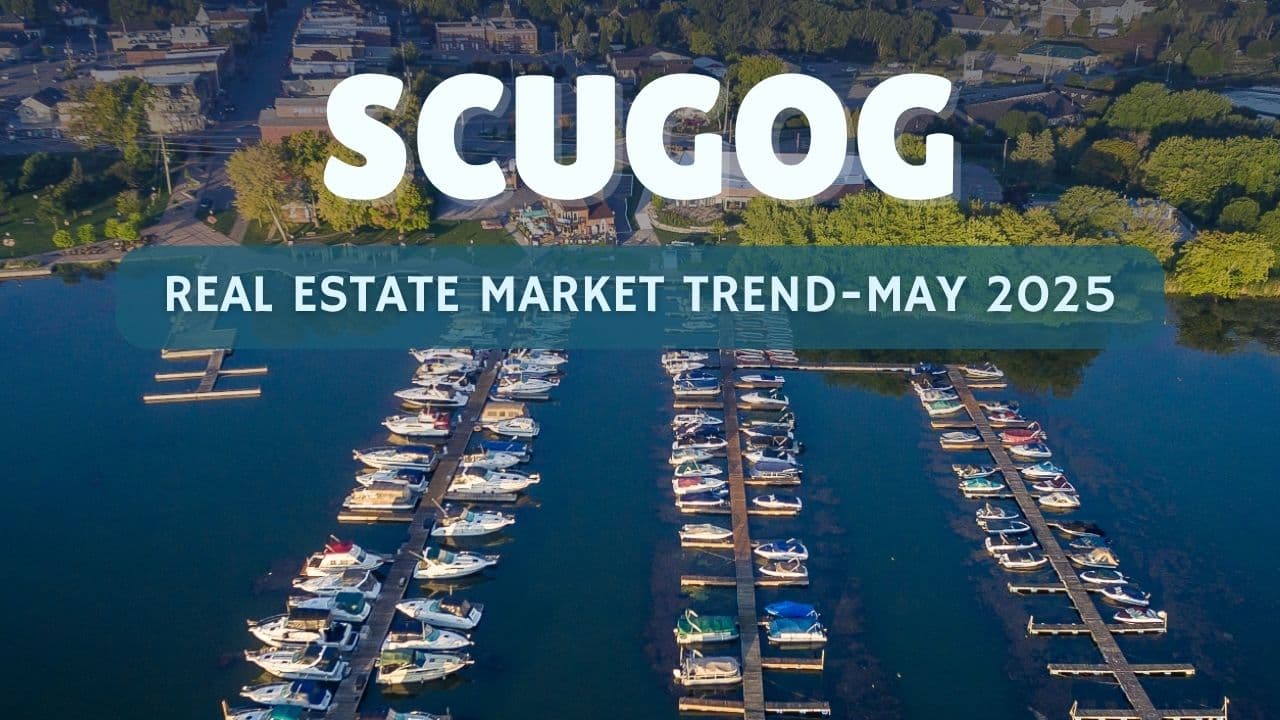 Scugog