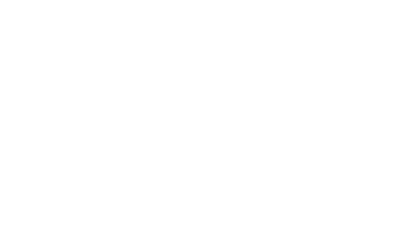 Georgia Pacific Holdings Corp