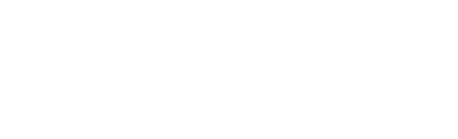 Menkes Developments Logo