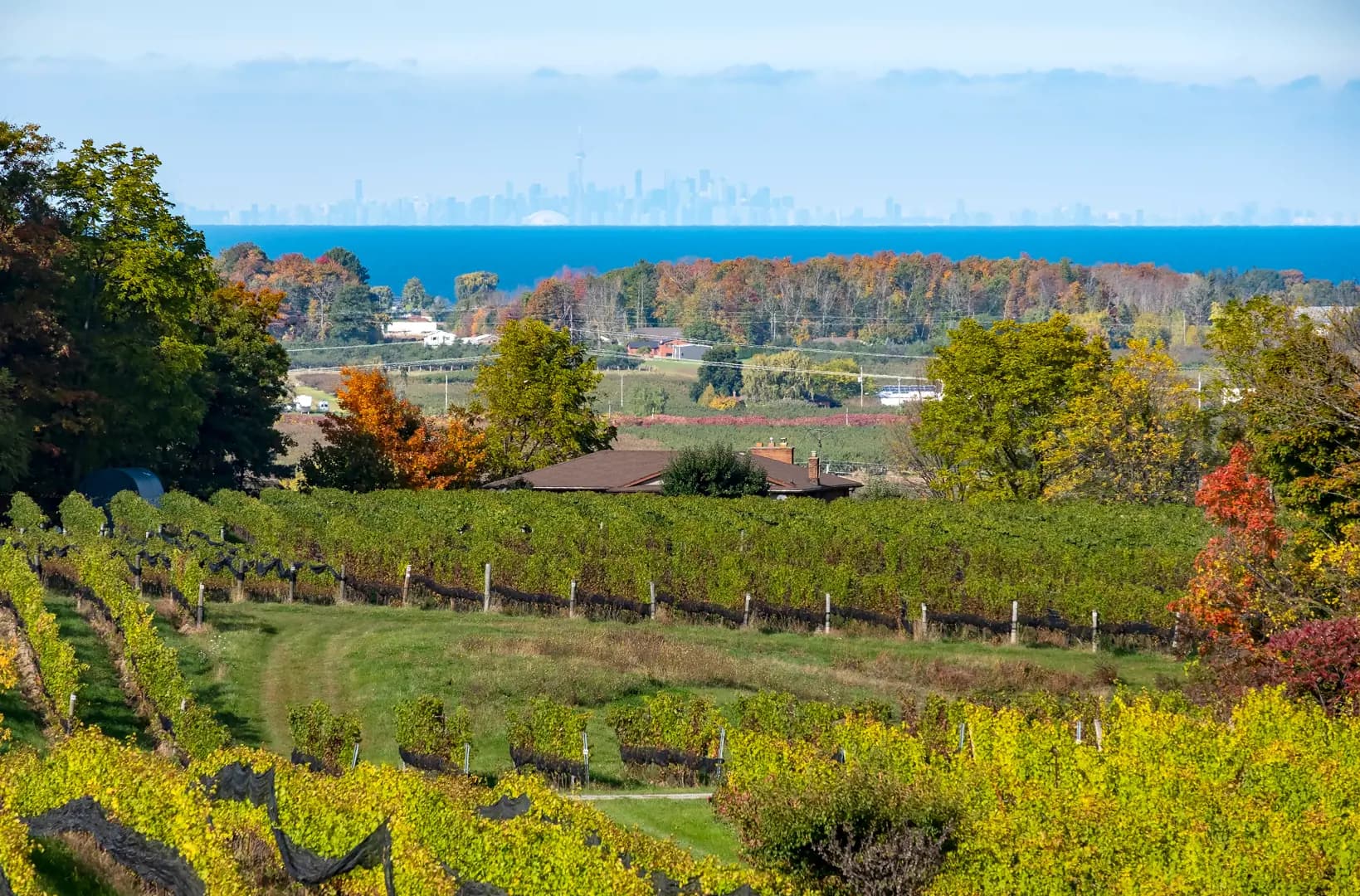 parkside39 Niagara