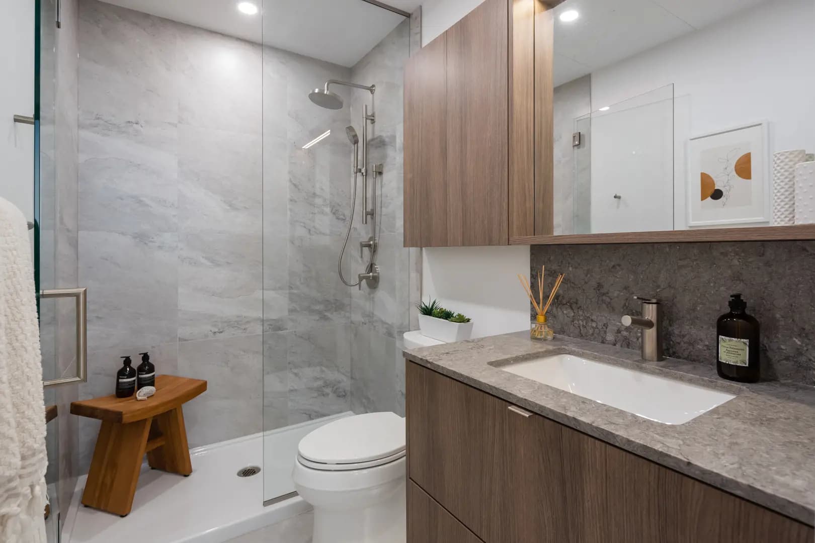 Alina Condos - Coquitlam